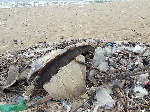 

Sea/Ocean, Pollution/Litter/Relics
Nardine Stybel, EUCC-D