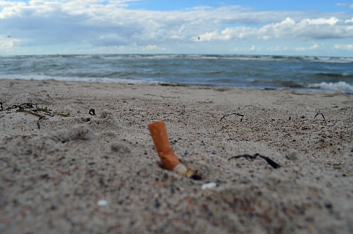 Warnemünde
Cigarette butt at the beach of Warnem&uuml;nde
Pollution/Litter/Relics
EUCC-D